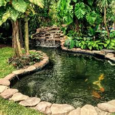 Kolam Ikan Koi
